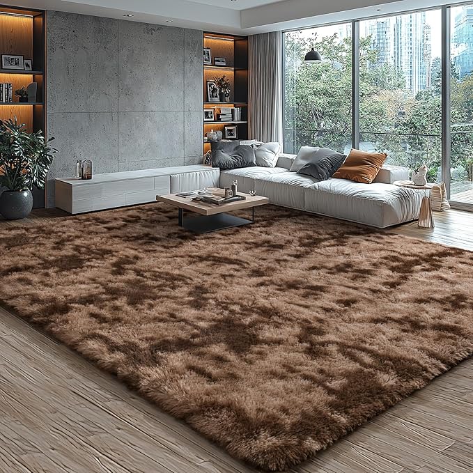 EVOIONOS Area Rug for Living Room Bedroom, Washable 5x8 Fluffy Shag Large Rug, Soft Plush Non Slip Carpet for Indoor Floor Bedside Nursery Kids Girls Room Dorm, Home Decor Aesthetic, Tie-Dyed Coffee