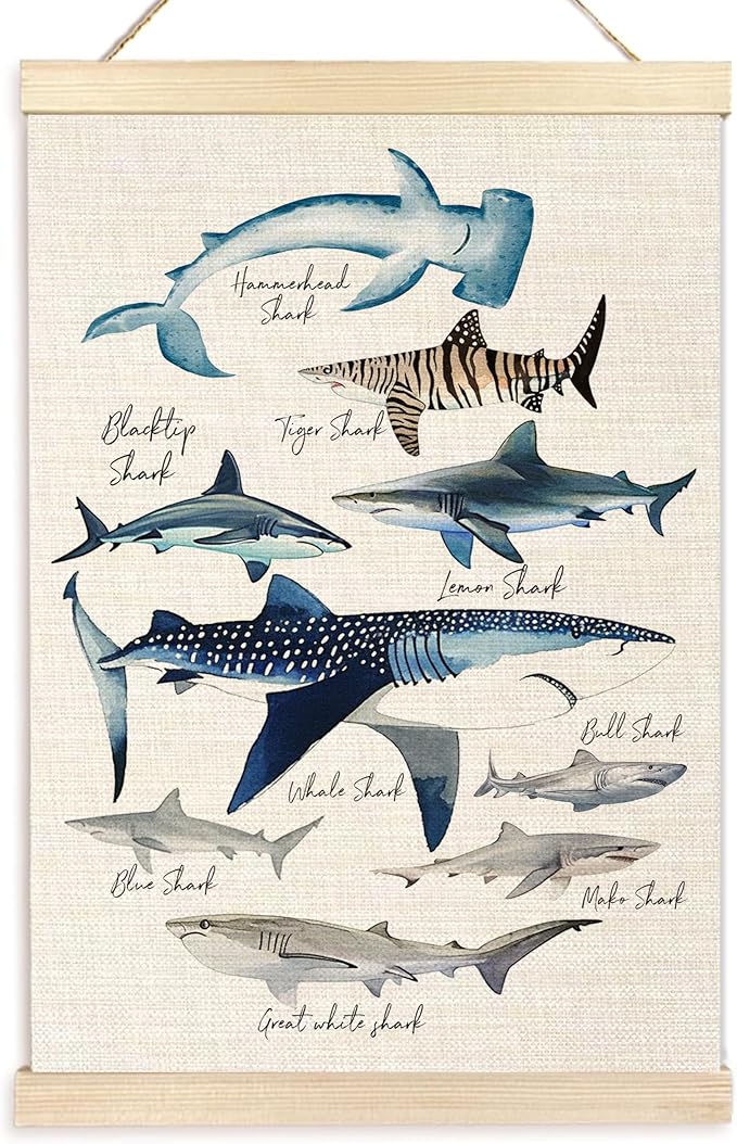 Ecezatik Species of Sharks Wall Art with Wooden Poster Hanger, Shark Posters, Beach Room Decor, Ocean Room Decor, Shark Wall Art Decor for for Classroom Nursery Kids Room Playroom, 16x24 Inch