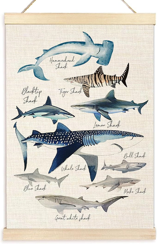 Ecezatik Species of Sharks Wall Art with Wooden Poster Hanger, Shark Posters, Beach Room Decor, Ocean Room Decor, Shark Wall Art Decor for for Classroom Nursery Kids Room Playroom, 16x24 Inch