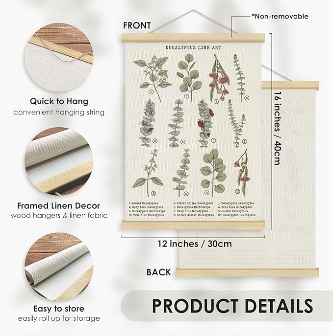 Fewgb Botanical Eucalyptus Leaves Flower Wall Art Decor for Plant Lovers Room Bedroom Classroom, Leaf Reference Chart Hanging Poster Framed with Hanger, Floral Wildflower Picture Prints 12x16