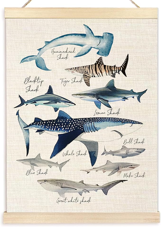 Ecezatik Species of Sharks Wall Art with Wooden Poster Hanger, Shark Posters, Beach Room Decor, Ocean Room Decor, Shark Wall Art Decor for for Classroom Nursery Kids Room Playroom, 12x16 Inch