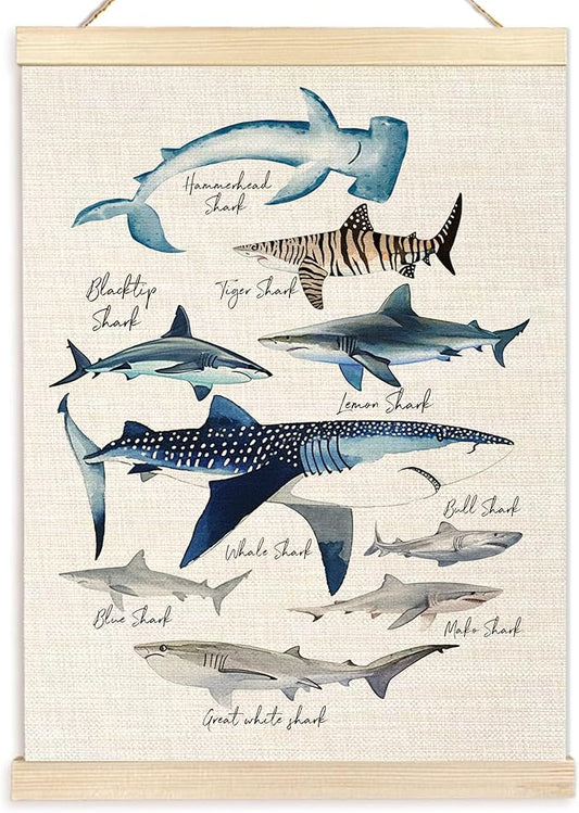 Ecezatik Species of Sharks Wall Art with Wooden Poster Hanger, Shark Posters, Beach Room Decor, Ocean Room Decor, Shark Wall Art Decor for for Classroom Nursery Kids Room Playroom, 12x16 Inch