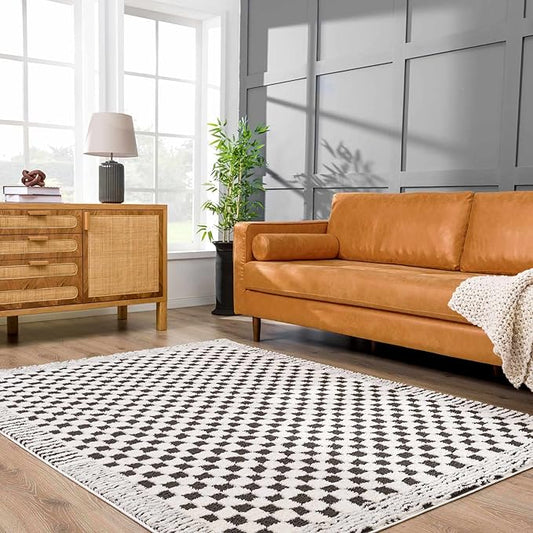 Hauteloom Leryn Contemporary Checkered Area Rug - Modern Geometric Bordered Carpet for Living Room, Bedroom - Checkboard Design - Square Tiles - High Pile - Black and White - 5'3" x 7' (5x7)