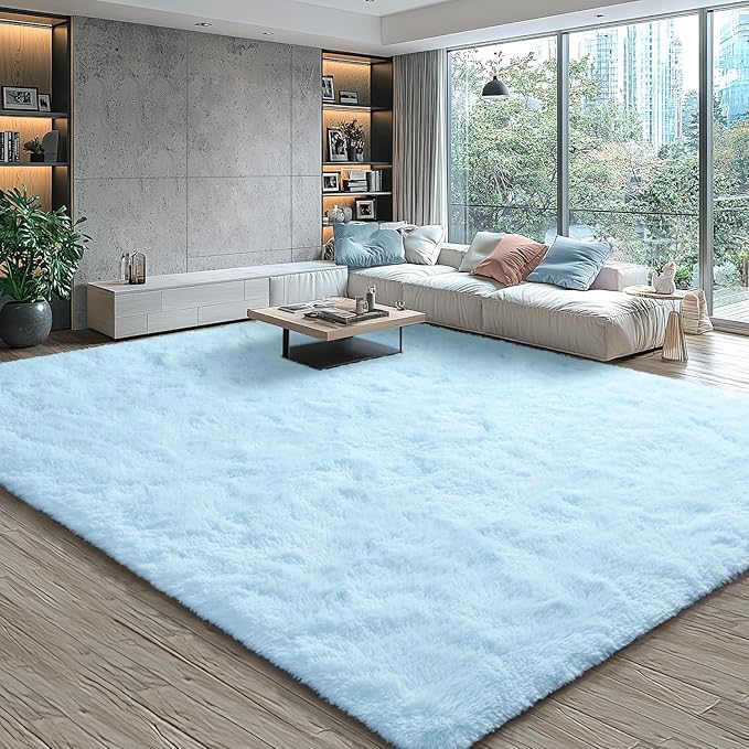 EVOIONOS 5x7 Washable Large Area Rug for Living Room, Fluffy Shag Rug for Bedroom, Ultra Soft Plush Non Slip Carpet Indoor Floor Bedside Nursery Kids Girls Room Dorm, Home Decor Aesthetic, Light Blue