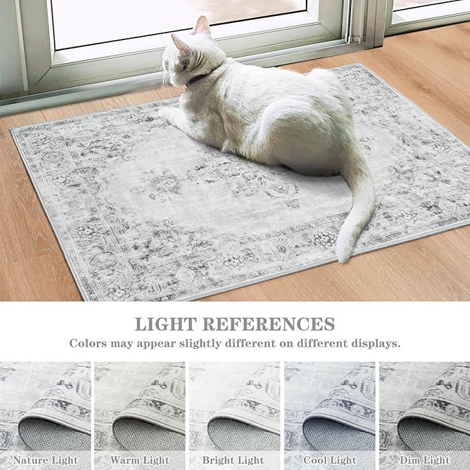 Area Rug 2x3, Washable Rug for Entryway Indoor, Small Area Rug for Living Room Entrance, Vintage Rug for Bedroom Doormat, Non Slip Soft Low Pile Carpet for Kitchen, Hallway, Office, Light Grey