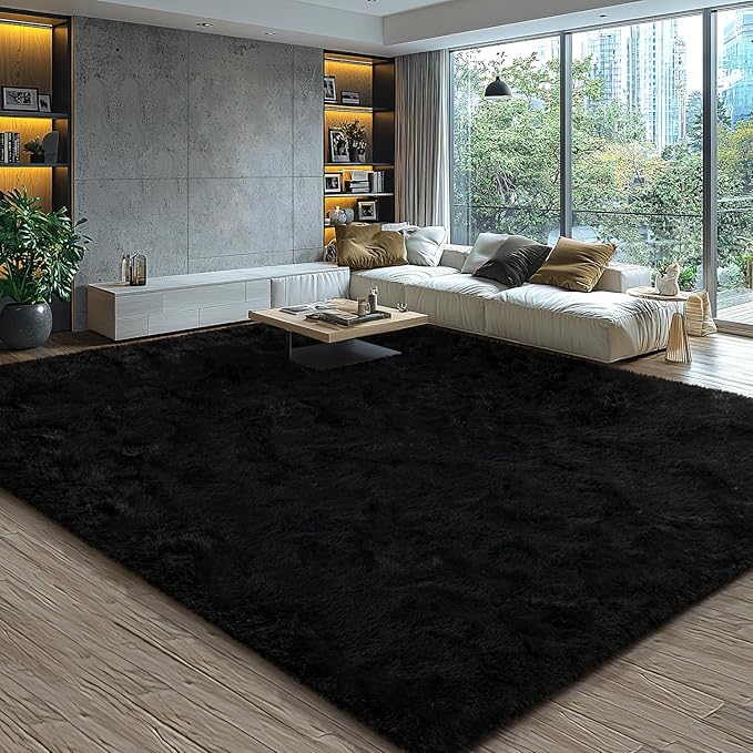 EVOIONOS 5x8 Washable Large Area Rug for Living Room, Fluffy Shag Rug for Bedroom, Ultra Soft Plush Non Slip Carpet for Indoor Floor Bedside Nursery Kids Girls Room Dorm, Home Decor Aesthetic, Black