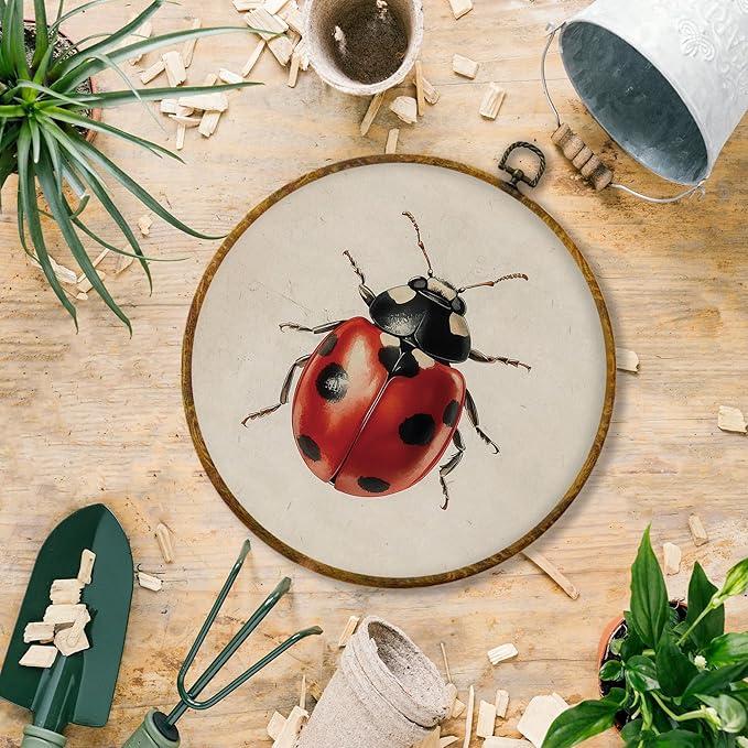 Hiuwevt Vintage Ladybug Round Wall Art Decor, Farmhouse Cottagecore Lady Bugs Framed Canvas Prints, Rustic Insect Round Wall Hanging Decor for Home Bedroom Living Room Decorations, 10x10 Inches
