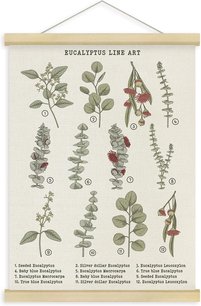 Fewgb Botanical Eucalyptus Leaves Flower Wall Art Decor for Plant Lovers Room Bedroom Classroom, Leaf Reference Chart Hanging Poster Framed with Hanger, Floral Wildflower Picture Prints 12x16