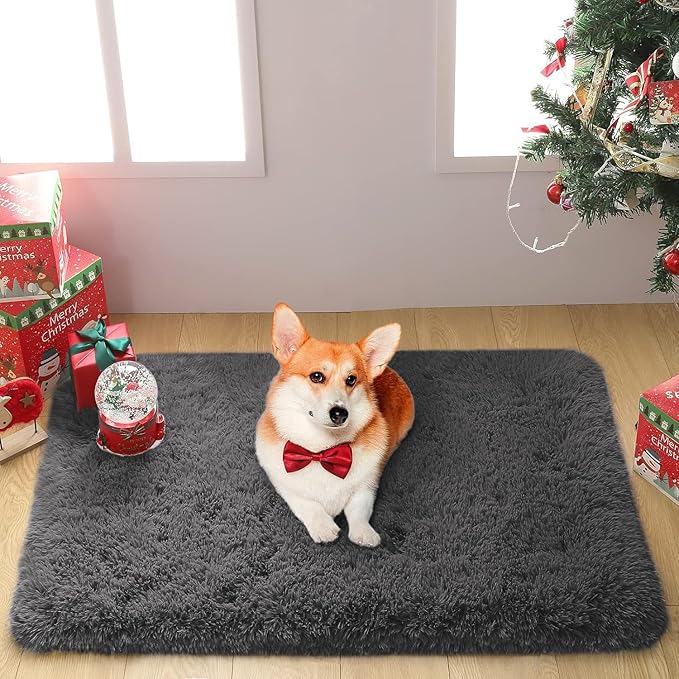 Merelax Fluffy Shaggy Small Area Rug, Dark Grey 2x3 Doormat Door Rugs for Bedside Christmas Decor, Mini Fuzzy Plush Throw Rug, Soft Non-Slip Entryway Shag Catpet for Livingroom Holiday Home Aesthetic
