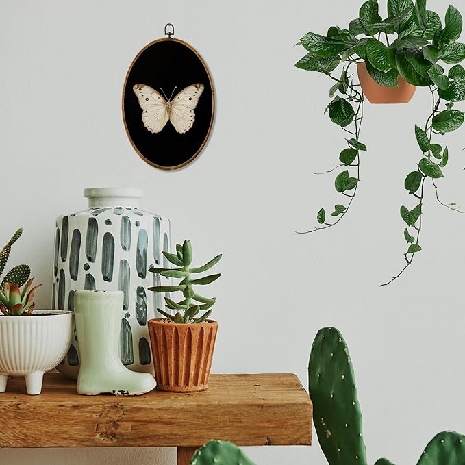 Hiuwevt Vintage White Butterfly Oval Wall Art Decor, Retro Antique Moth Framed Canvas Prints, Neutral Moody Insect Oval Wall Hanging Decor for Home Bedroom Gallery Decorations, 8.6x11.4 Inches