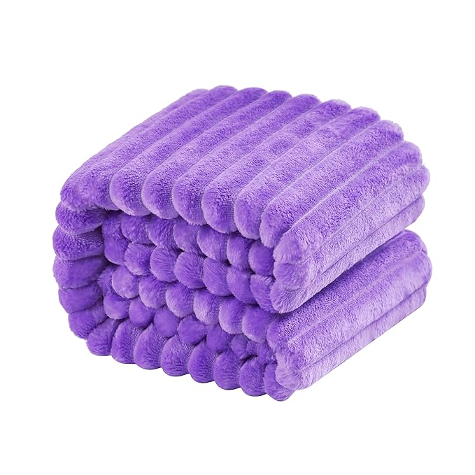 NTBAY Plush Soft Flannel Baby Blanket, Warm and Cozy Unisex Toddler Blanket with Stripe Pattern for Stroller, Crib, Travel, 30x40 Inches, Purple