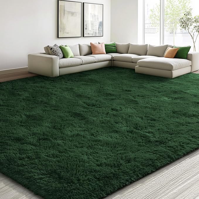 EVOIONOS 6x9 Washable Large Area Rug for Living Room, Fluffy Shag Rug for Bedroom, Ultra Soft Plush Non Slip Carpet for Indoor Floor Bedside Nursery Kids Girls Room Dorm, Home Decor Aesthetic, Green