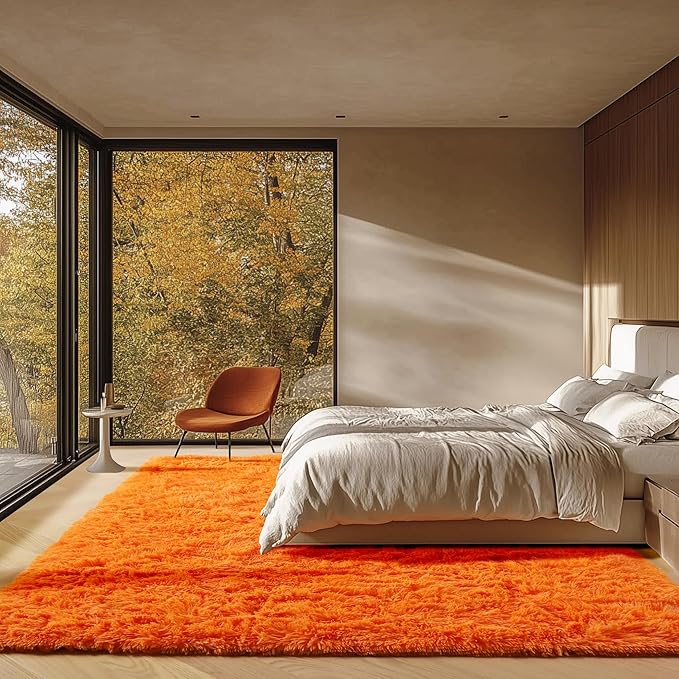 ONASAR Orange Rugs for Living Room Bedroom, 5x8 Washable Fluffy Bedside Area Rug, Soft Plush Shaggy Indoor Floor Carpet for Nursery Kids Girls Boys Teen Dorm Home Office Decor Aesthetic