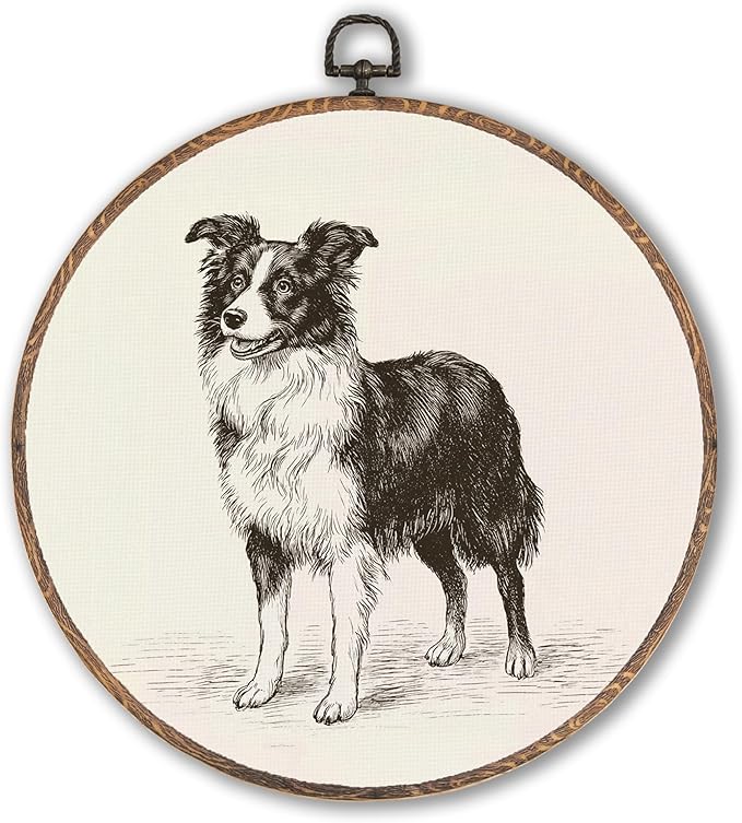 Vintage Border Collie Round Wall Art Framed, Retro Weiner Dog Round Wall Decor, Border Collie Weiner Dog Gifts Hanging Canvas Print Wall Sculpture for Bedroom Living Room Decor, 10x10 Inch
