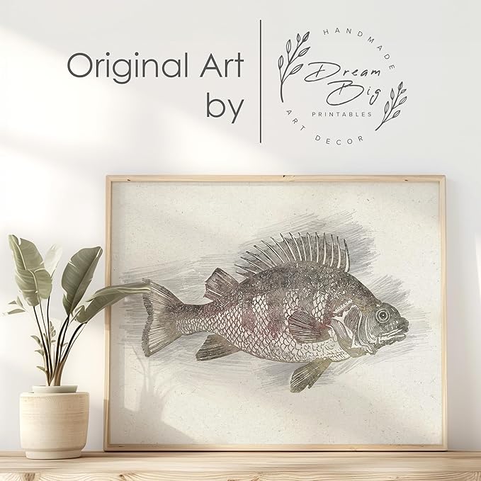 DREAM BIG PRINTABLES Fishing Decor Sketches Wall Art Prints (Set of 6) - 11x14s | Great Gift for Fishermen