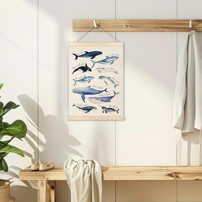 Ecezatik Species of Whales Wall Art with Wooden Poster Hanger, Whale Posters, Beach Room Decor, Ocean Room Decor, Whale Wall Art Decor for for Classroom Nursery Kids Room Playroom, 12x16 Inch