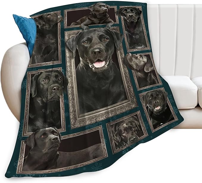 Labrador Retriever Dog Blanket - Cute Throw for Girls, Women, Kids, Adults - Soft Warm Cozy Fleece for Couch, Sofa, Bed - 60"x50" - Gifts and Decor