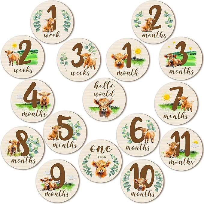 Tiamon 16 Pieces Wooden Baby Monthly Milestone Cards Monthly Milestone Marker Discs Double Sided Wooden Circles Months Signs for Baby Shower Newborn Photo Props(Highland Cow)