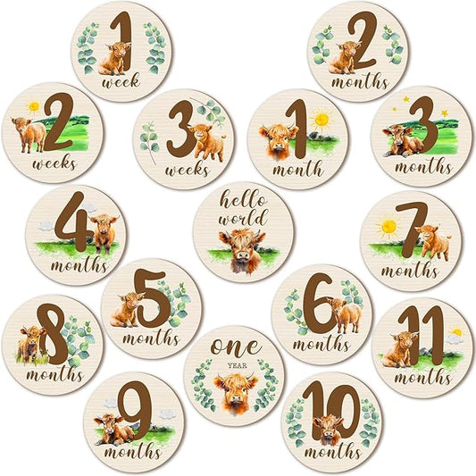 Tiamon 16 Pieces Wooden Baby Monthly Milestone Cards Monthly Milestone Marker Discs Double Sided Wooden Circles Months Signs for Baby Shower Newborn Photo Props(Highland Cow)