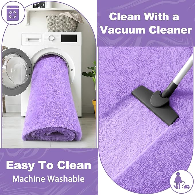 EVOIONOS 6x9 Washable Large Area Rug for Living Room, Fluffy Shag Rug for Bedroom, Ultra Soft Plush Non Slip Carpet for Indoor Floor Bedside Nursery Kids Girls Room Dorm, Home Decor Aesthetic, Purple
