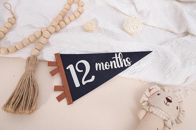 12 PCS Baby Monthly Milestone Felt Pennant - Navy Blue 1 to 12 Months Photo Props, Newborn Growth Record Triangle Banner, First Year Signs, Boys Monthly Photo Props