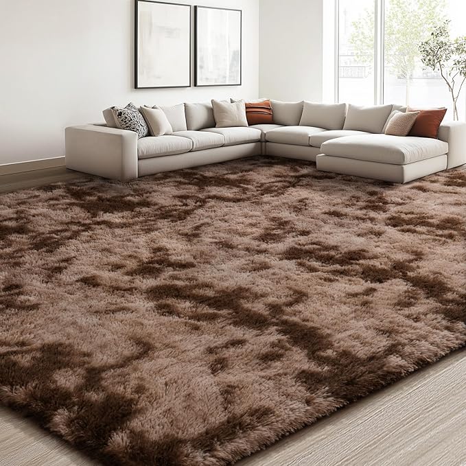 EVOIONOS Area Rug for Living Room Bedroom, Washable 7x10 Fluffy Shag Large Rug, Soft Plush Non Slip Carpet for Indoor Floor Bedside Nursery Kids Girls Room Dorm, Home Decor Aesthetic, Tie-Dyed Coffee