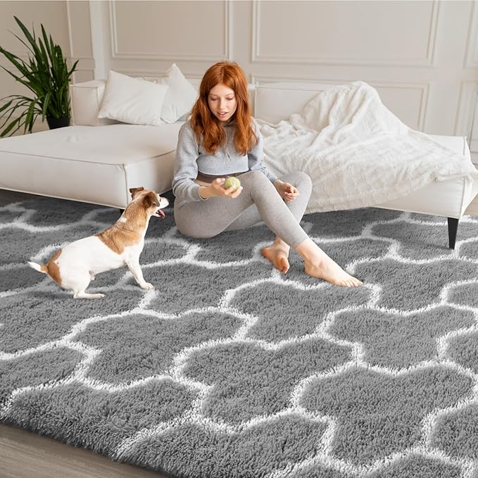 EVOIONOS 6x9 Washable Large Area Rug for Living Room, Grey and White Geometric Pattern Fluffy Shag Rug for Bedroom, Ultra Soft Plush Non Slip Carpet for Indoor Floor Nursery Kid Home Decor Aesthetic