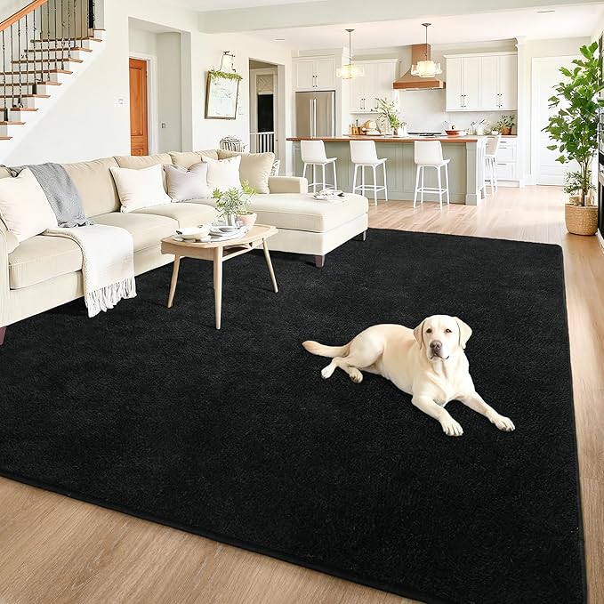 Chicrug 5x7 Minimalist Washable Area Rugs for Bedroom Living Room Classroom, Modern Soft Memory Foam Rug for Kids Nursery, Low Plie Indoor Carpet for Dorm Dining Office Bedside Room Decor, Black
