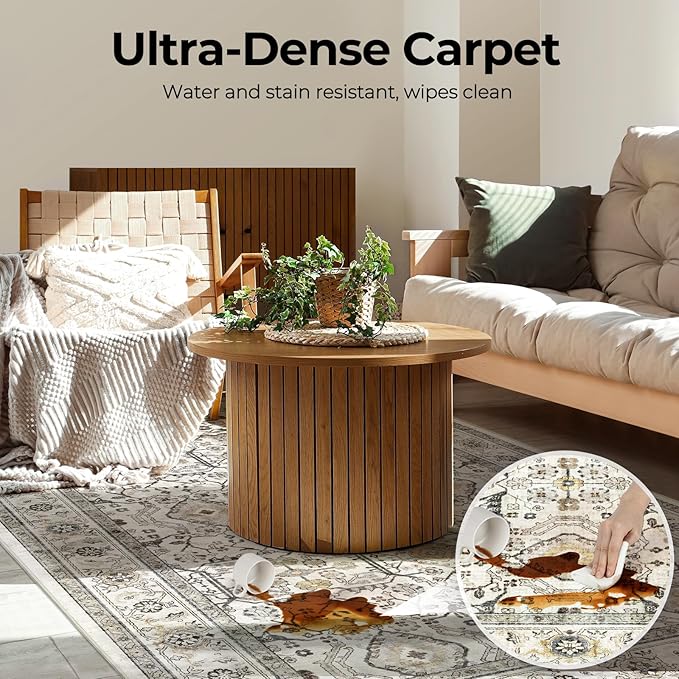 WITSHOCK Living Room Area Rugs 4x6: Washable Rug Boho Soft Non-Slip Low Pile Stain Resistant Foldable Carpet for Bedroom Playroom Dining Room Office Kitchen Farmhouse Home Decor Rug-Cream Color