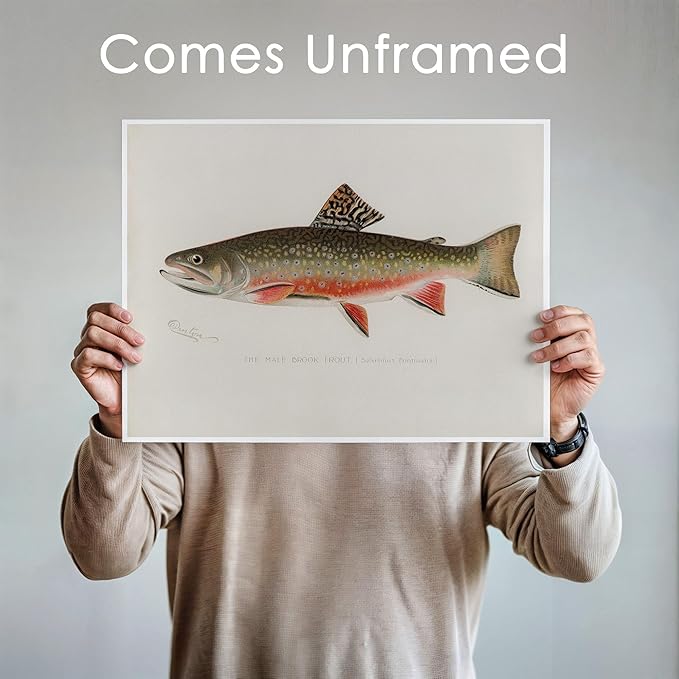 DREAM BIG PRINTABLES Vintage Fishing Decor (Set of 6) - Unframed - 11x14s | Fish Wall Art Prints | Great Gift for Fishermen