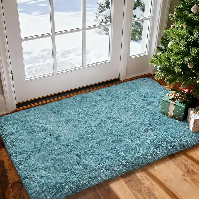 Merelax Modern Soft Fluffy Small Shaggy Rug for Bedroom Livingroom Dorm Kids Room Indoor Home Decorative, Non-Slip Plush Furry Fur Area Rugs Comfy Nursery Accent Floor Carpet 2X4 Feet, Turquoise Green