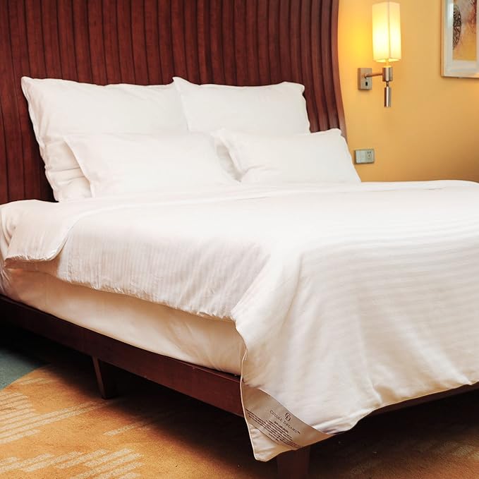 CUDDLE DREAMS Silk Comforter for Spring/Summer/Fall, 100% Long-Strand Silk Filling, Natural & Breathable (Twin Size)