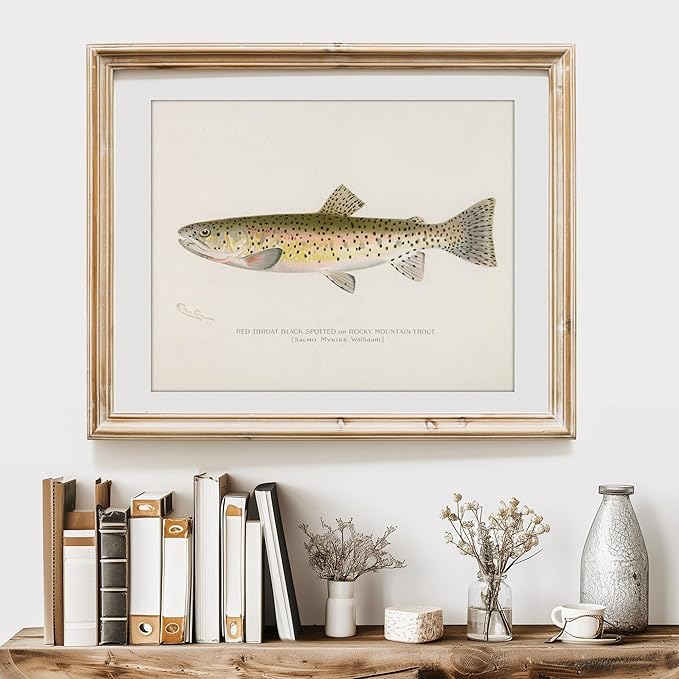 DREAM BIG PRINTABLES Fish Wall Art Prints (Set of 6) - Unframed - 11x14s | Vintage Fishing Decor - Midwest Fish Species - Great Gift for Fisherman