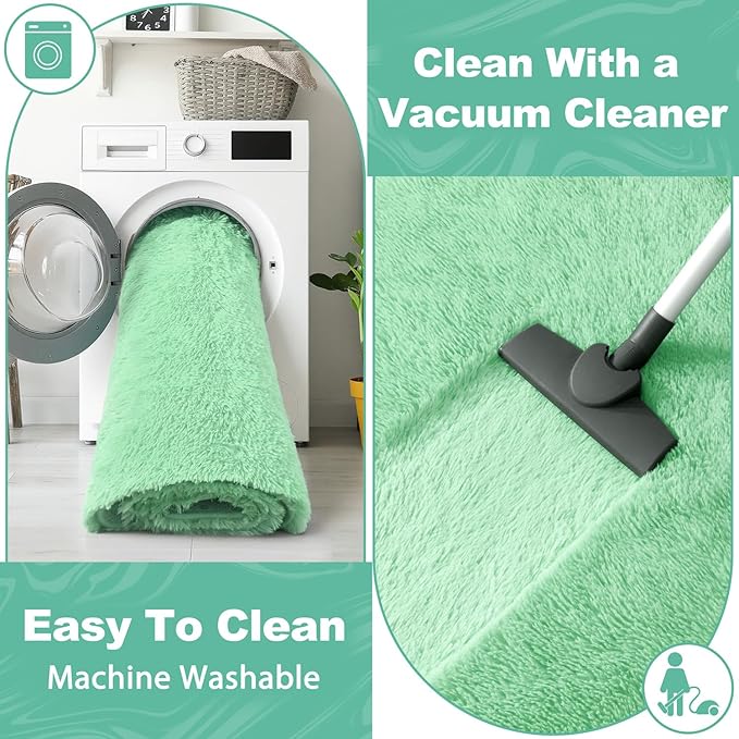 EVOIONOS 5x7 Washable Large Area Rug for Living Room, Fluffy Shag Bedroom Rug, Ultra Soft Plush Non Slip Carpet Indoor Floor Bedside Nursery Kids Girls Room Dorm, Home Decor Aesthetic, Sage Green
