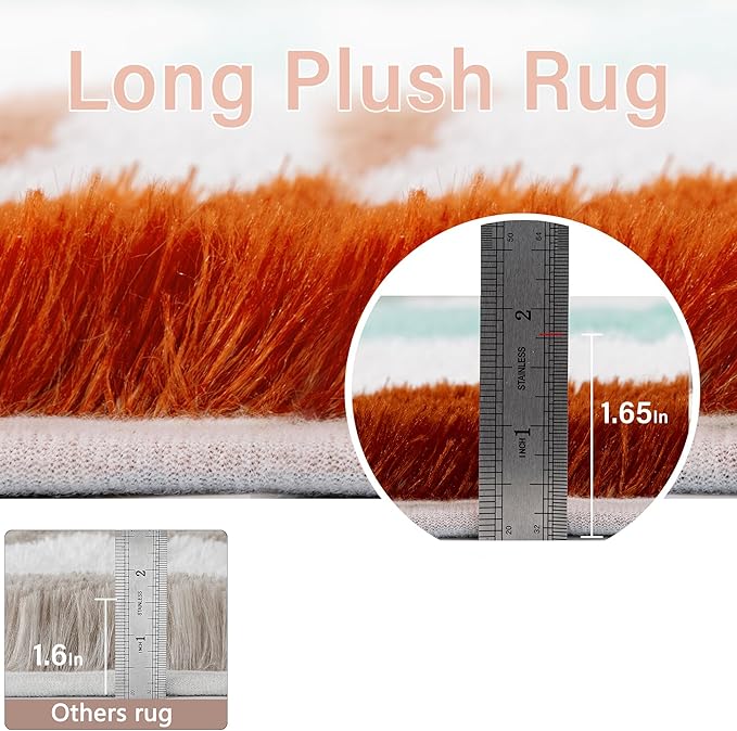 Checkered Rug 5x8 for Living Room, Colorful Modern Shag Rug Super Soft Washable Indoor Fuzzy Carpet Non-Slip Fluffy Rugs for Bedroom Home Aesthetic Decor