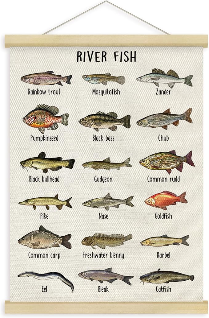 Fewgb River Fish Breed Wall Art Decor for Fish Lovers Fishermen Room Bedroom Classroom, Freshwater Fishing Reference Chart Hanging Poster Framed with Hanger Picture Prints 12x16