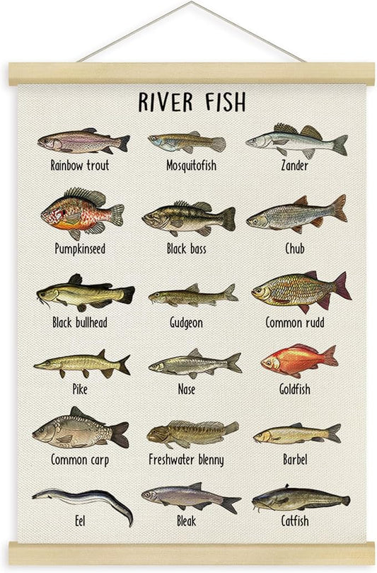 Fewgb River Fish Breed Wall Art Decor for Fish Lovers Fishermen Room Bedroom Classroom, Freshwater Fishing Reference Chart Hanging Poster Framed with Hanger Picture Prints 12x16