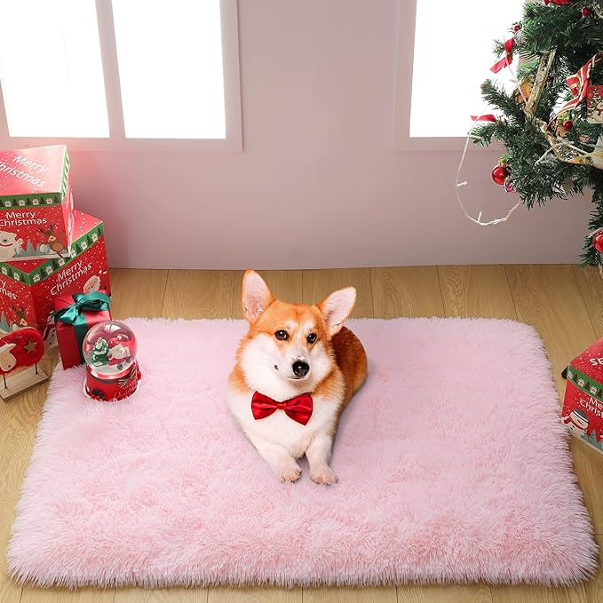 Merelax Soft Modern Indoor Shaggy Area Rug for Bedroom Livingroom Dorm Kids Room Home Decorative, Non-Slip Plush Fluffy Furry Fur Rugs Comfy Nursery Accent Floor Carpet 2x3 Feet, Pink