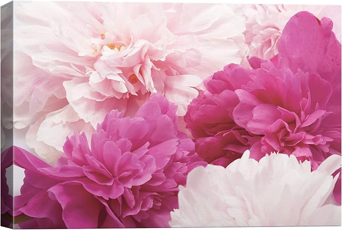 SIGNWIN Canvas Wall Art Bouquet of Blush Pink, Red and White Peony Floral Flower Photography Modern Art Romantics Closeup Relax/Calm Duotone for Living Room, Bedroom, Office - 32x48 inches