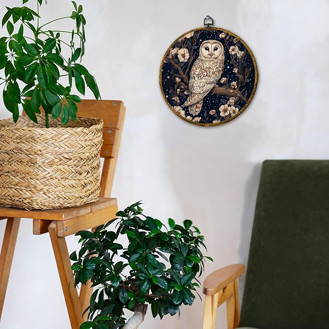 Hiuwevt Enchanted Forest Owl Round Wall Art Decor, Mystical Starry Night Whimsical Owl Hanging Canvas Prints Artwork Framed, Dark Cottagecore Animal Circular Wall Decor for Home Room, 10x10 Inch