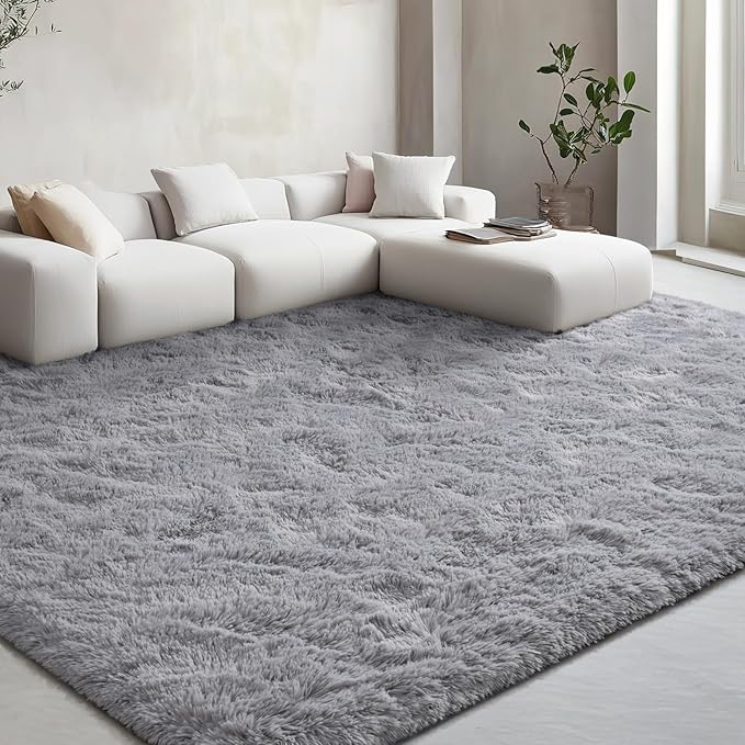 EVOIONOS Ultra Soft Area Rug for Bedroom, 4x6 Machine Washable Fluffy Shag Rug for Living Room, Plush Non Slip Carpet for Indoor Floor Bedside Nursery Kids Girls Room Dorm, Home Decor Aesthetic, Grey