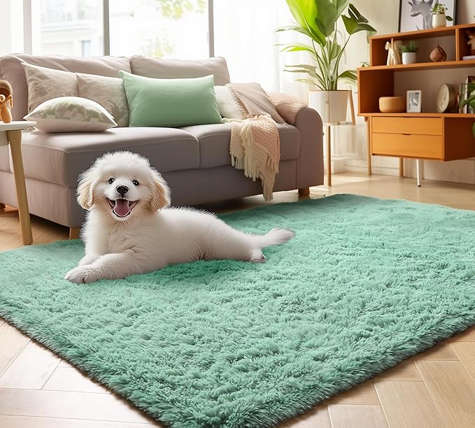 ONASAR Sage Green Area Rugs for Bedroom Living Room, 4x6 Fluffy Cute Indoor Bedside Floor Rug, Washable Ultra Soft Plush Fuzzy Shaggy Carpets for Nursery Kids Girls Boys Teen Dorm Playroom Home Decor