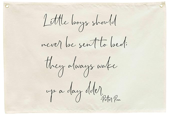 Little Boys Should Never Be Sent to Bed-Rectangular Banner Flag Poster Wall Decor for Baby Boy Kids-Nursery Above Crib Bedroom Door Wall Decorations-Boy Present-Birthday Baby,Shower Christmas Gift
