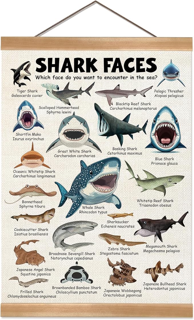 ZTGDA Shark Faces Posters, Sea Animals Sharks Posters Wall Art,Marine Sharks Decor,Ocean Educational Poster for Kid Classroom Decorations Kids Room Home Nursery Playroom (Shark face)