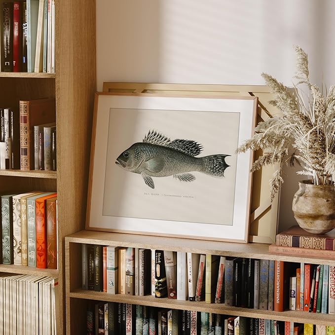 DREAM BIG PRINTABLES Vintage Fishing Decor (Set of 6) - Unframed - 11x14s | Fish Wall Art Prints | Great Gift for Fishermen