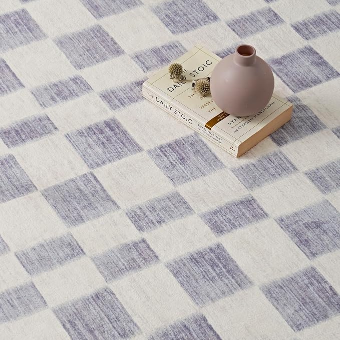 EverGrace Checkered Plaid Area Rug 3x5, Soft Fuzzy Faux Wool Rugs Washable Anti Slip Rugs Small Rug Carpet for Entryway Bedroom Living Room Hallway Kitchen Dining Room and Laundry Room, Light Gray
