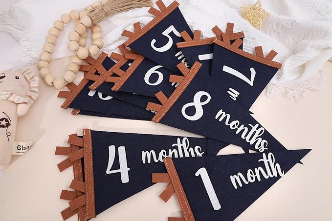 12 PCS Baby Monthly Milestone Felt Pennant - Navy Blue 1 to 12 Months Photo Props, Newborn Growth Record Triangle Banner, First Year Signs, Boys Monthly Photo Props
