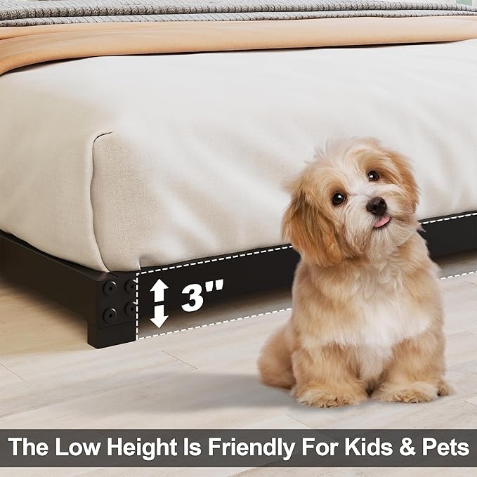 3 Inch Low Queen Bed Frame Heavy Duty Metal Platform, No Box Spring Needed, Easy Assembly Mattress Foundation, No Noise, Black