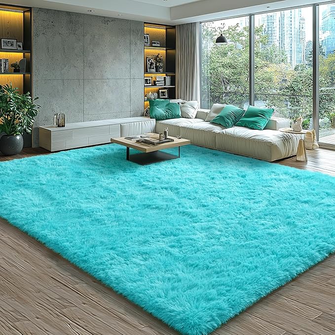 EVOIONOS 6x9 Washable Large Area Rug for Living Room, Fluffy Shag Rug for Bedroom, Ultra Soft Plush Non Slip Indoor Floor Bedside Nursery Kids Girls Room Dorm Carpet, Home Decor Aesthetic, Teal Blue