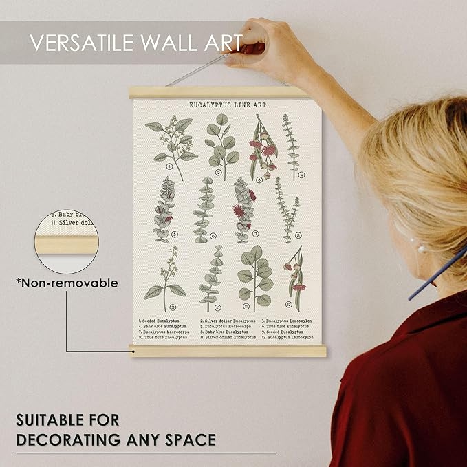 Fewgb Botanical Eucalyptus Leaves Flower Wall Art Decor for Plant Lovers Room Bedroom Classroom, Leaf Reference Chart Hanging Poster Framed with Hanger, Floral Wildflower Picture Prints 12x16